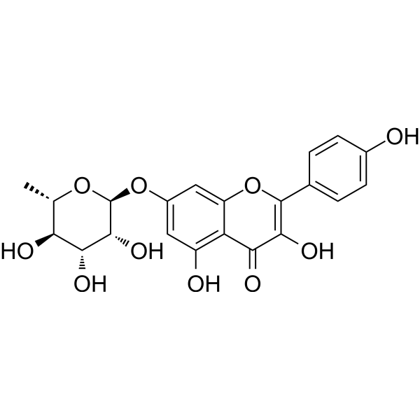 Kaempferol-7-O-rhamnoside 20196-89-8
